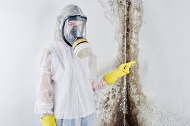 Forensic Mold Investigation in River Falls, WI